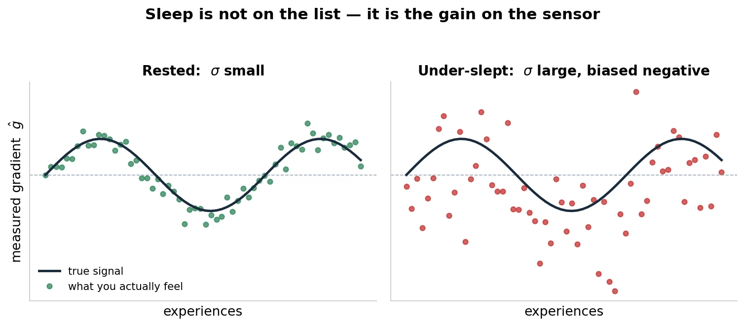 Sleep sets the noise and bias on the sensor