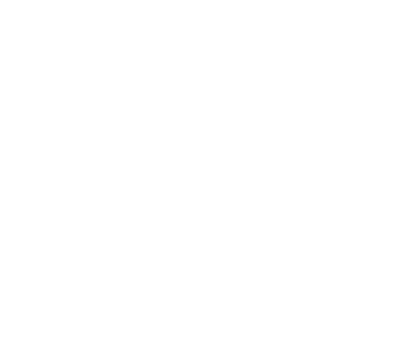 Dodecaplex
